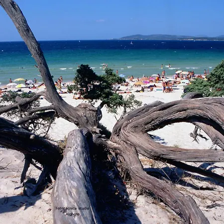 Bed & Breakfast Lamarina 3*